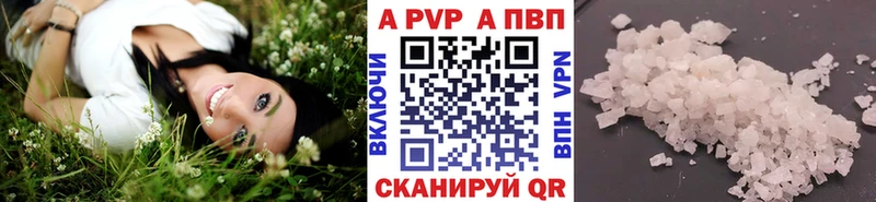 закладка  Кузнецк  Alfa_PVP СК 