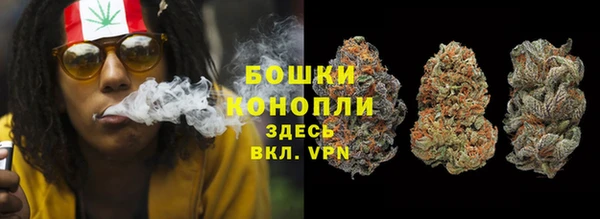 spice Осташков