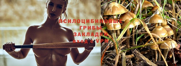 spice Осташков