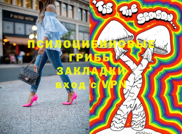 а пвп мука Инсар