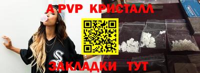 дмт Гай