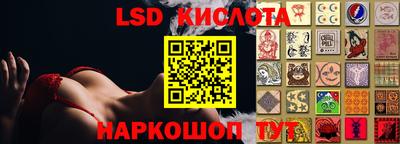дмт Гай
