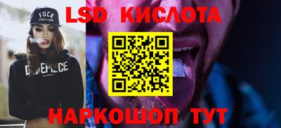 дмт Гай