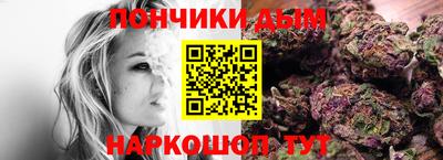 дмт Гай