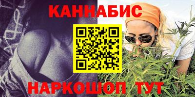 дмт Гай