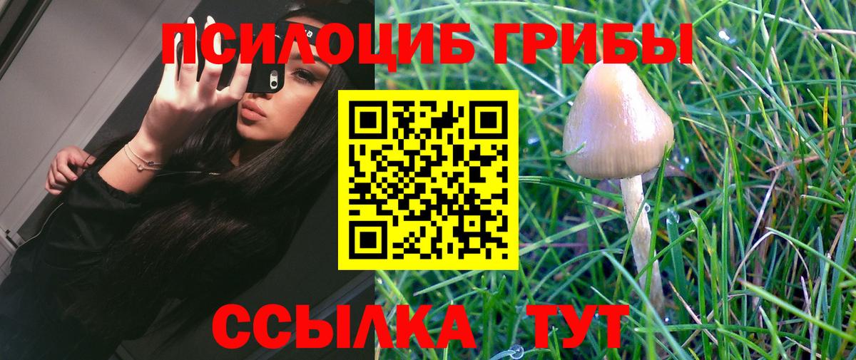 Галлюциногенные грибы ЛСД  Галлюциногенные грибы прущие грибы  Кузнецк 
