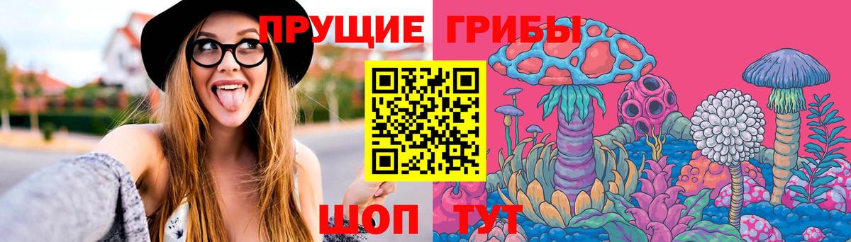 Галлюциногенные грибы Psilocybe  Псилоцибиновые грибы мицелий  Кузнецк  Вход с VPN 