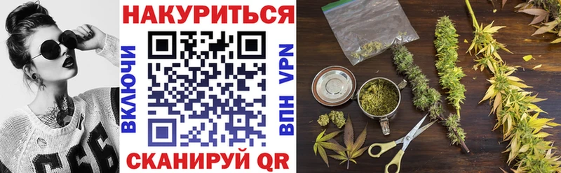 дарнет шоп  Кузнецк  МАРИХУАНА планчик 